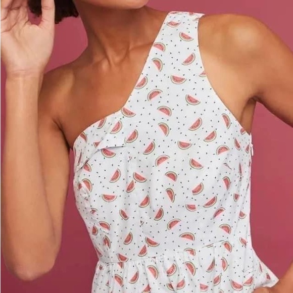 NWT HD in Paris Anthropologie Parkbound Watermelon Dress Sz 10 - Picture 3 of 7